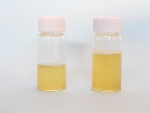 搾りたて「洗いゴマ油」「炒りゴマ油」の比較