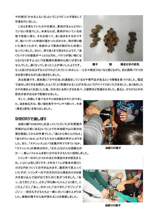 カヤの実を搾る２