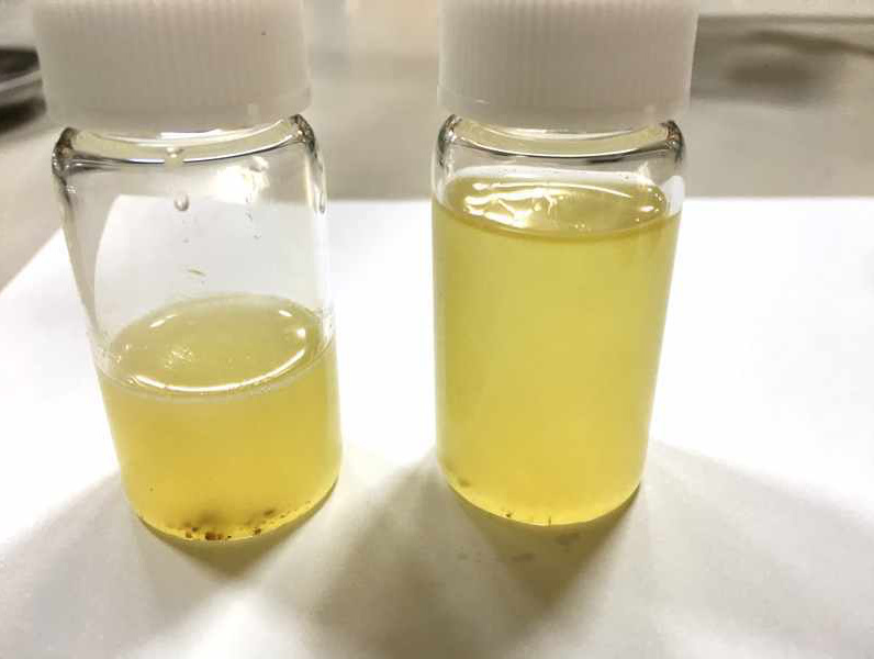 ツバキ油の「しぼりかす」