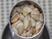 搾油機で油を搾るヒマワリ