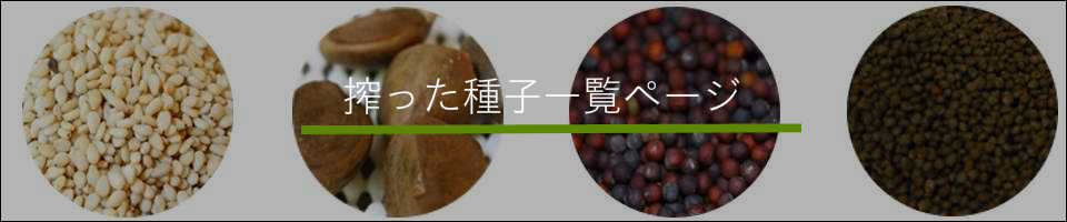 ゴマ、エゴマ、ツバキ、ナタネ