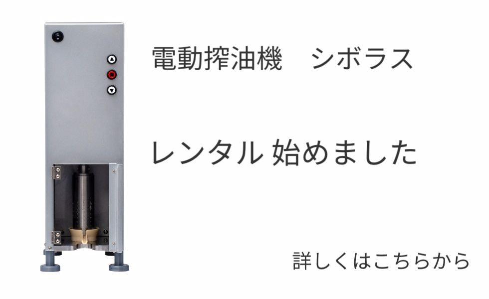 shiborous-rental.jpg