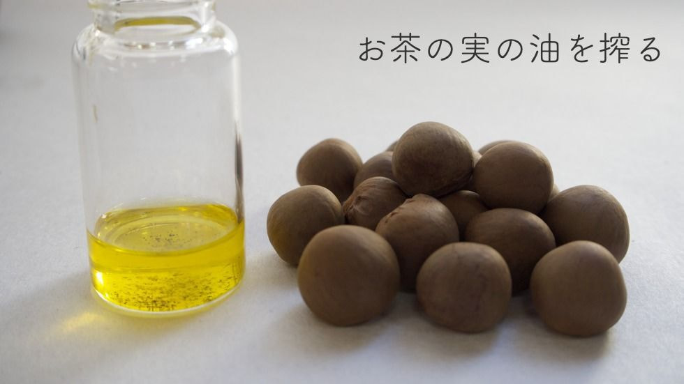 お茶の実の油を搾る