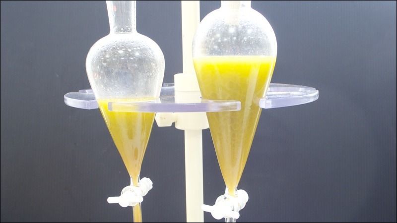 オリーブ搾油機10